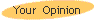 Your Opinion